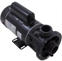1 HP Waterway Spa Pump E-Series 2-Speed 48 Frame 1 1/2 Inch