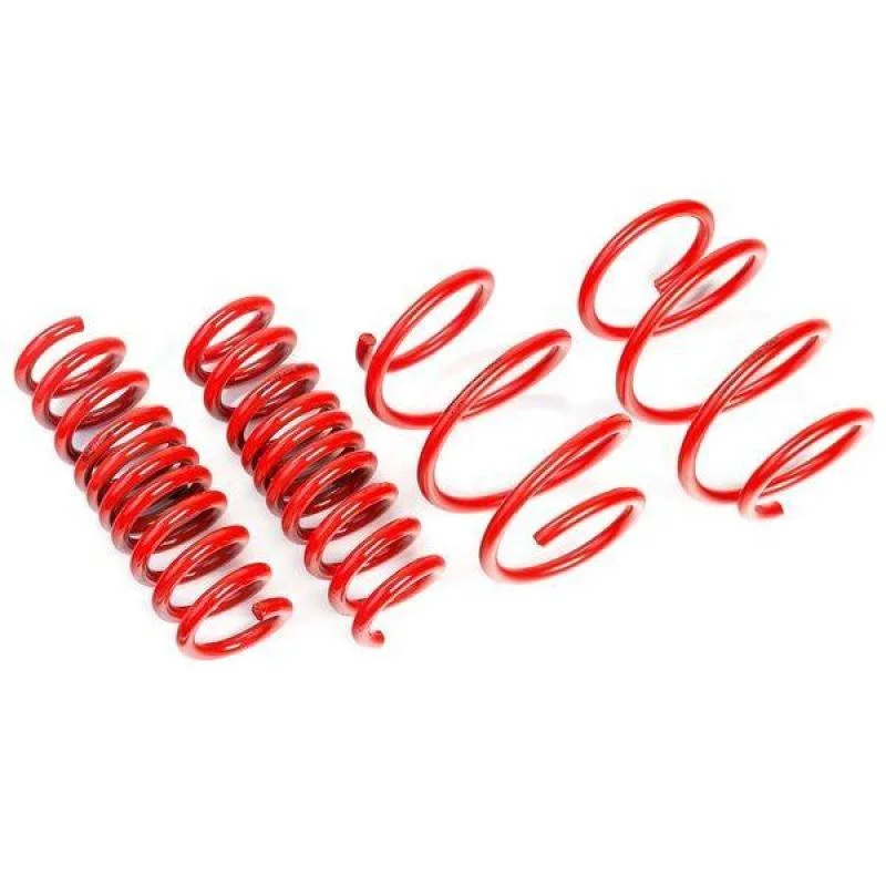 AST Nissan 84-89 300ZX 3.0 Turbo (Z31) Lowering Springs – 35mm/35mm