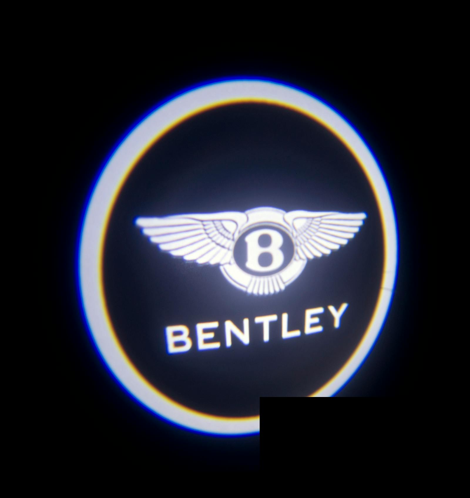 Oracle Lighting 3352-504 Door LED Projectors - Bentley