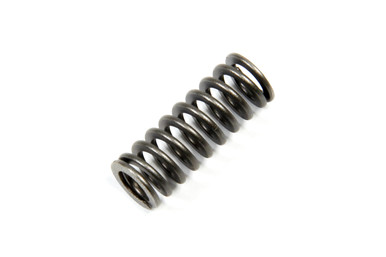 Bert Piston Return Spring SG-1078