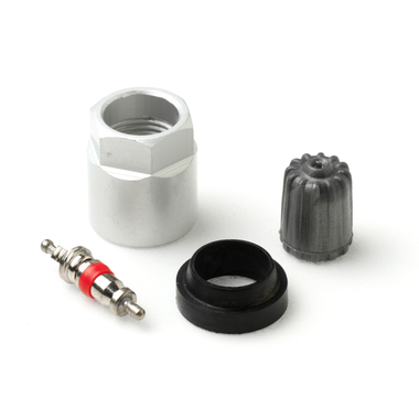 AME TPM20006AK Parts Kit for GMC Hummer Isuzu Box of 10