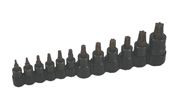 12pc Super Torx Bit Set