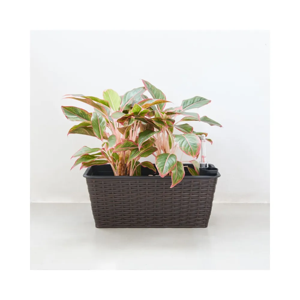 23″ Coffee Brown Thin Rectangular Self-Watering Planter
