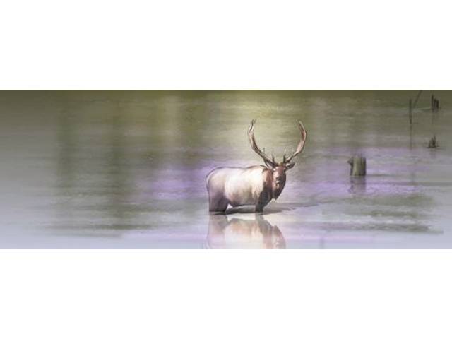 GLASSCAPES™, REAR WINDOW GRAPHICS, ELK COUNTRY,PRESSURE SENSITIVE
