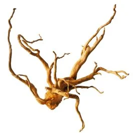 IceCap Spider Wood
