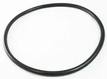 Pentair Lid Oring | 25200-0011S