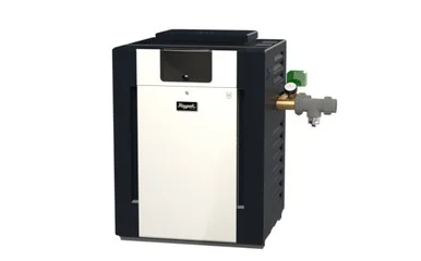 R268A Liquid Propane Professional Digital Heater 0-2K’ 266K BTU