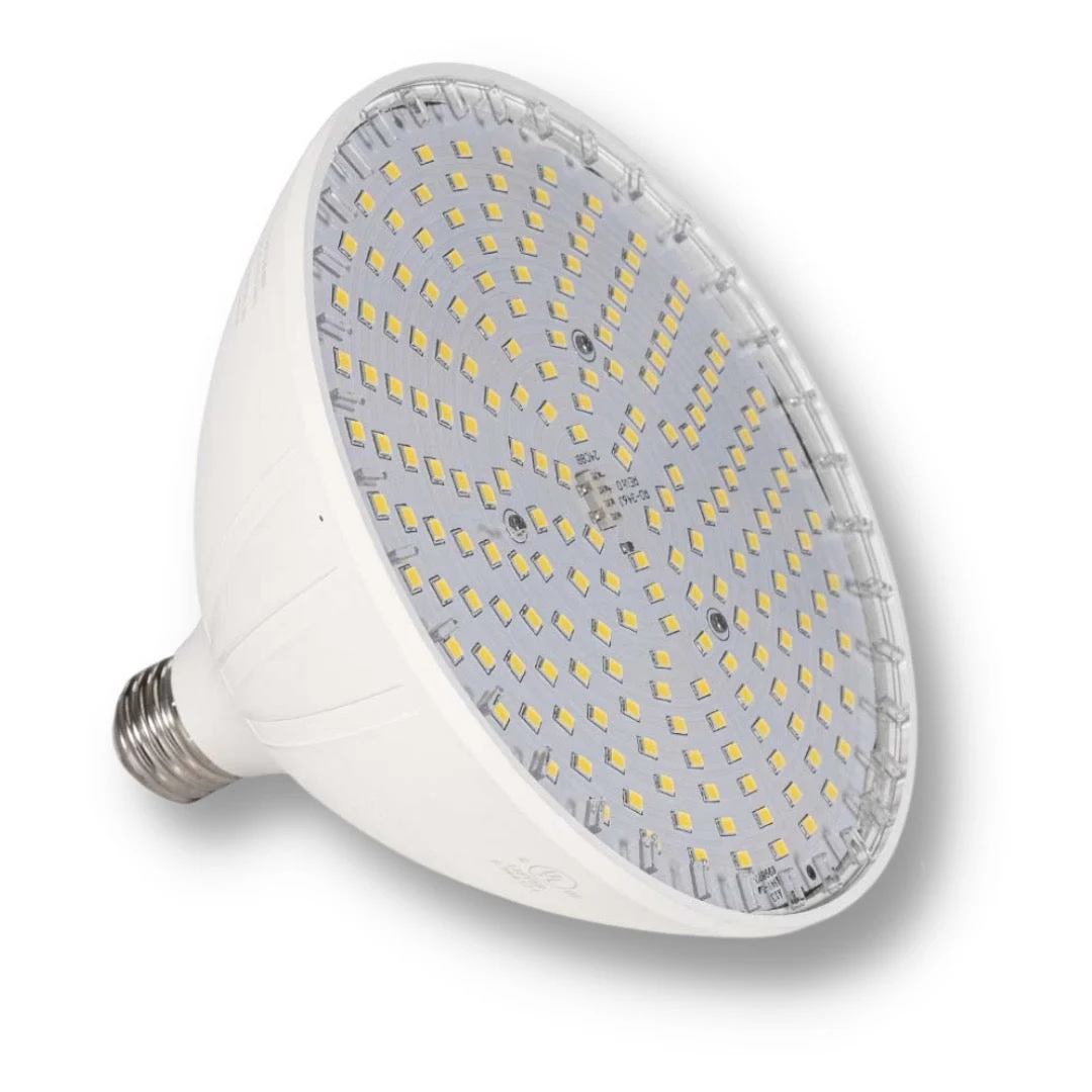 Vivid 360™ Multicolor LED Pool Bulb 35W